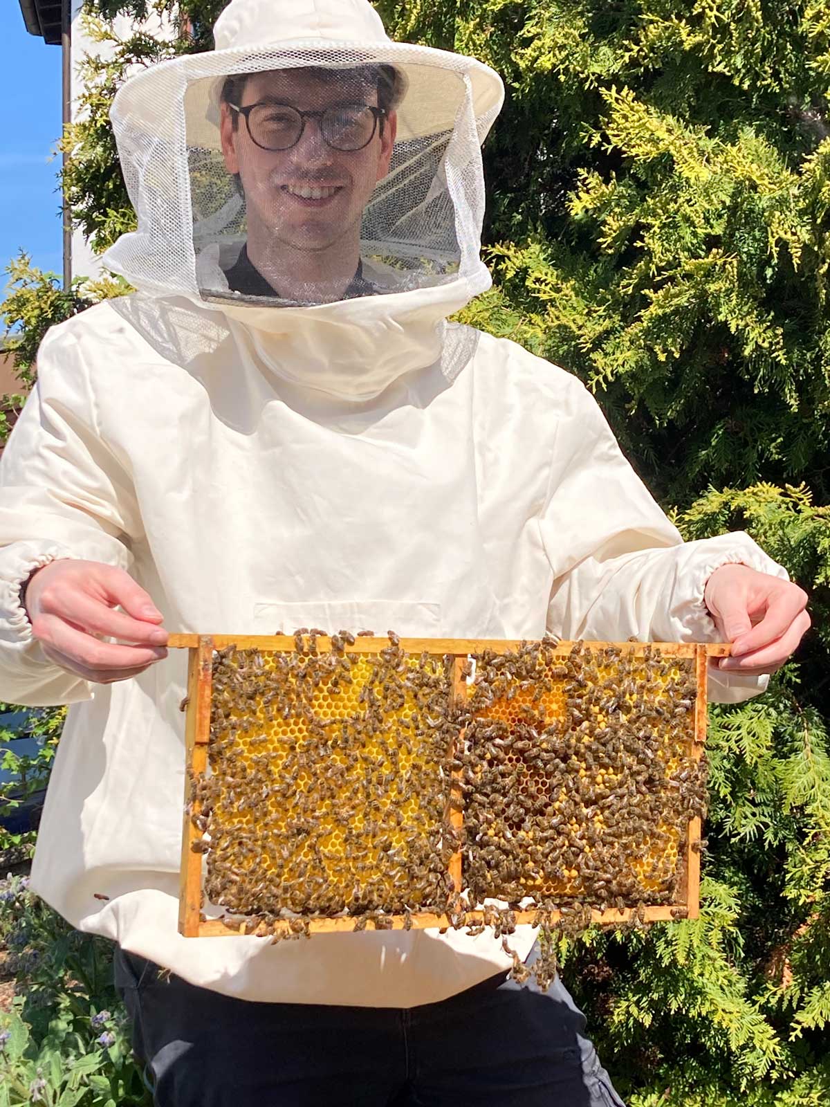 Simon bei der Durchsicht eines Bienenvolkes (Foto: U. Nell) Junger Mann hält Drohnenwabe (Foto: U. Nell)